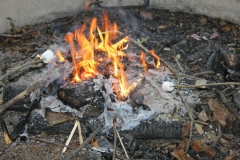 312598_276512435707676_1336819_n