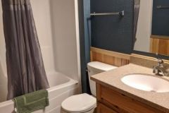 C20-Full-Bath-2