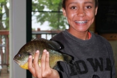 10455300_910804872278426_7599419062956964952_n