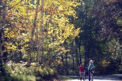 family-biking-trails-cs